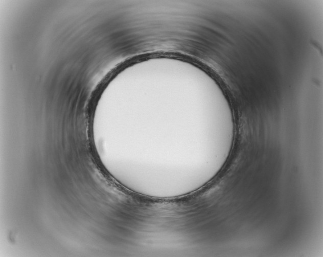 X0000102291118200808151946