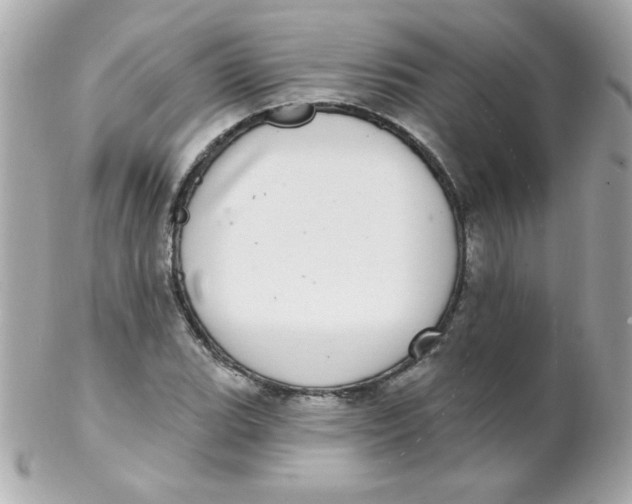 X0000102291119200808151946