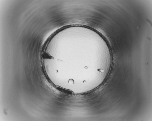 X0000102291120200808151946