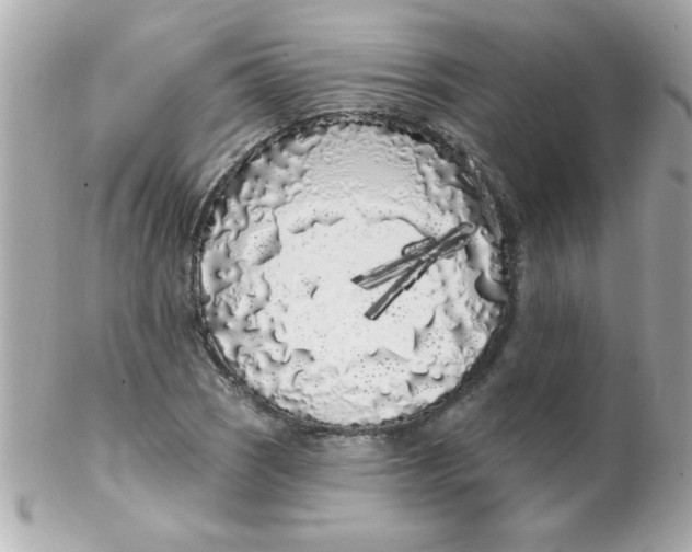 X0000102291121200808151946