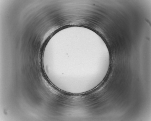 X0000102291122200808151946