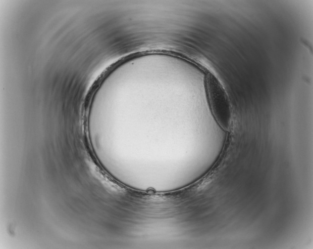 X0000102291124200808151946