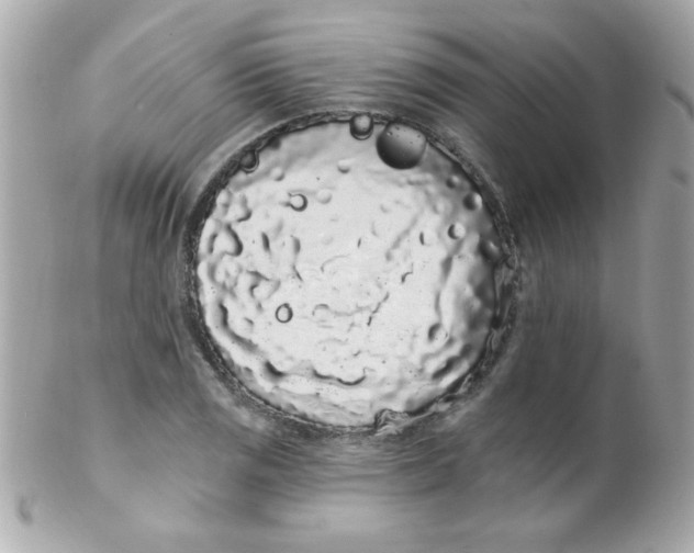 X0000102291125200808151946