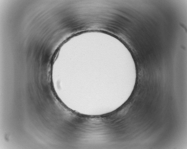 X0000102291126200808151946