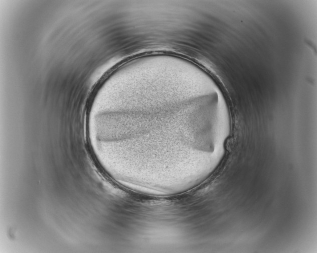 X0000102291127200808151946