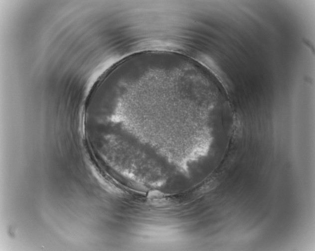 X0000102291128200808151946