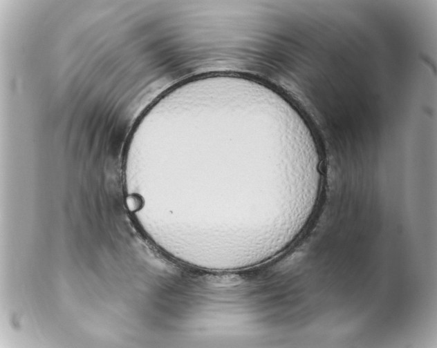 X0000102291129200808151946