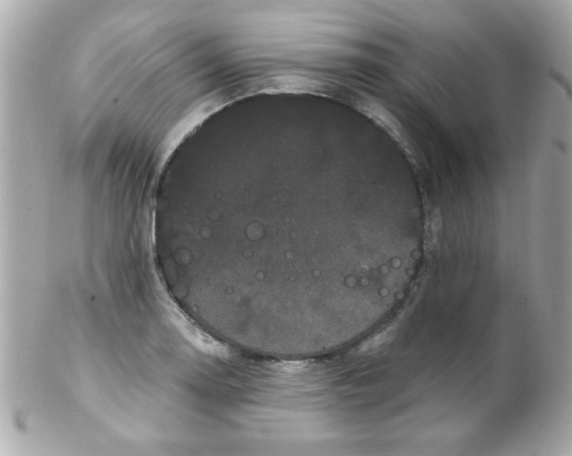 X0000102291130200808151946