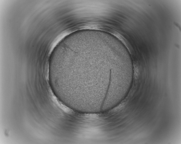 X0000102291131200808151946