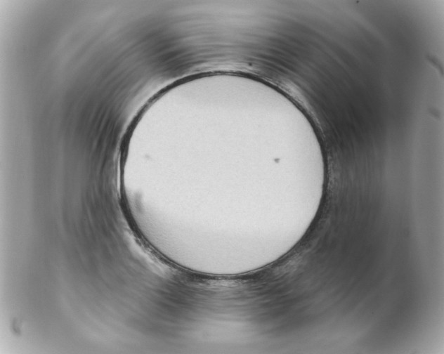 X0000102291132200808151946