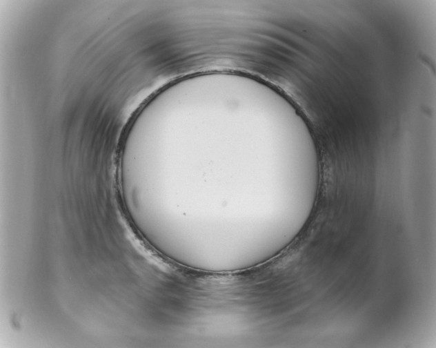 X0000102291134200808151946