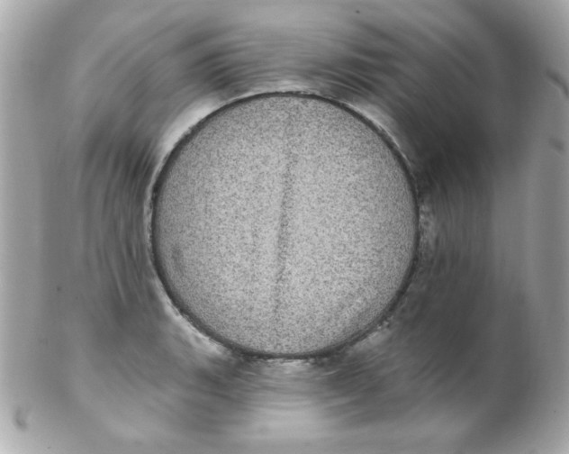 X0000102291135200808151946