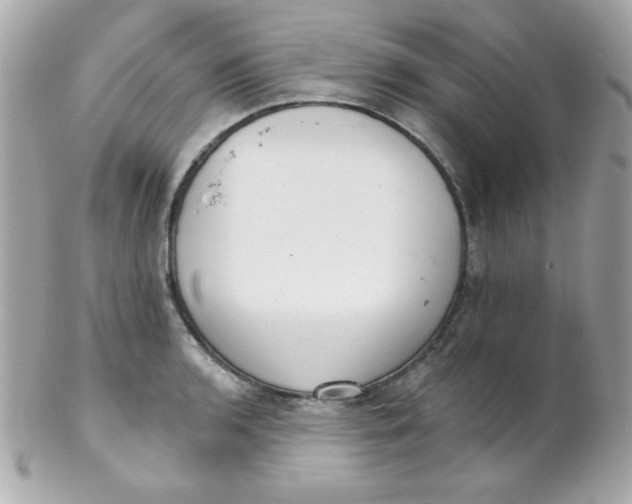 X0000102291136200808151946