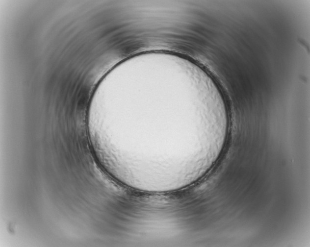 X0000102291137200808151946