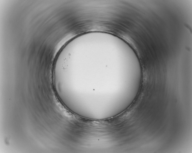 X0000102291138200808151946