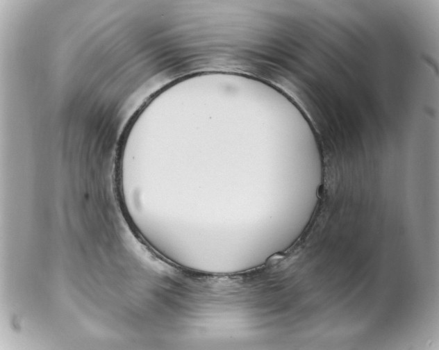 X0000102291139200808151946