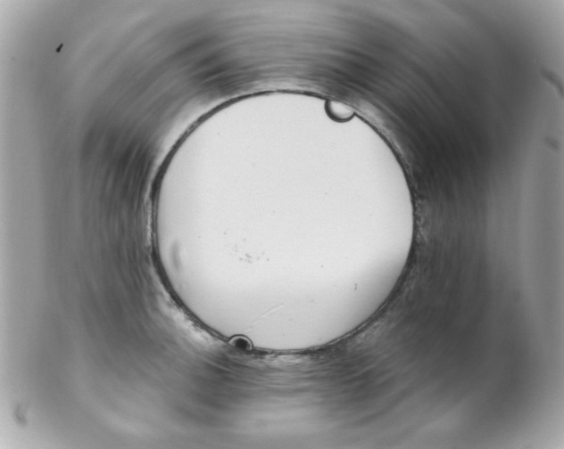 X0000102291140200808151946