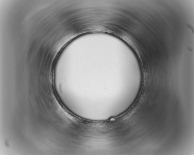 X0000102291141200808151946