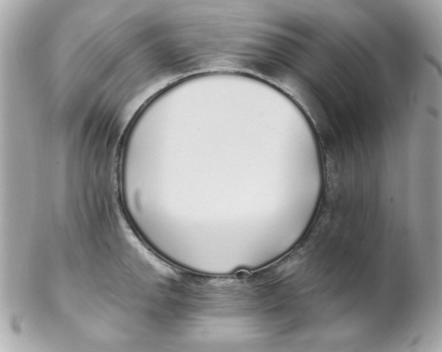 X0000102291142200808151946