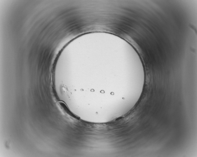 X0000102291144200808151946