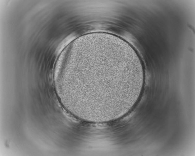 X0000102291145200808151946