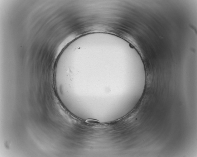 X0000102291146200808151946