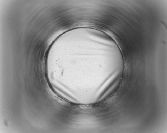 X0000102291147200808151946