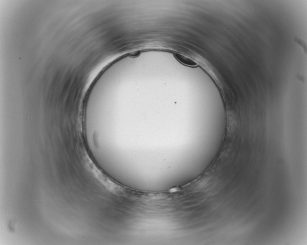 X0000102291148200808151946