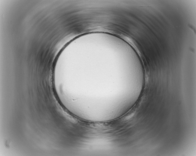 X0000102291149200808151946