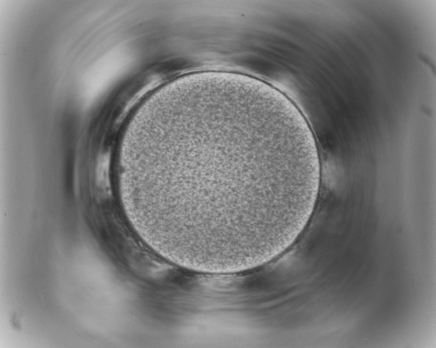 X0000102291150200808151946