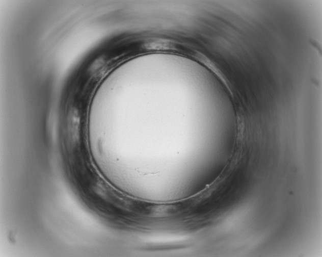 X0000102291151200808151946