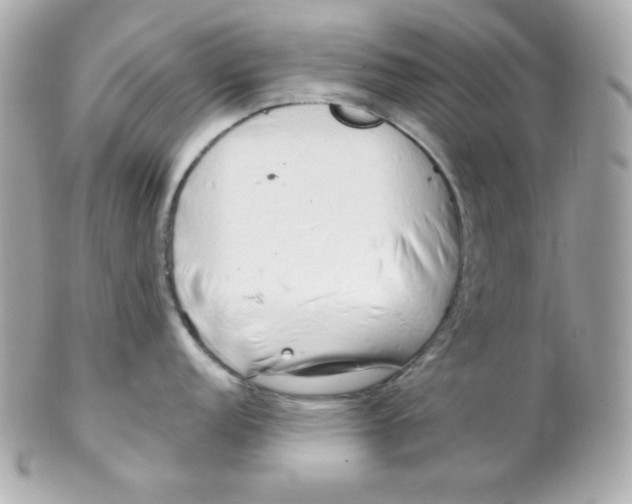 X0000102291152200808151946