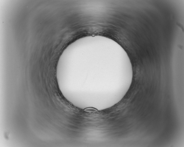 X0000102291153200808151946