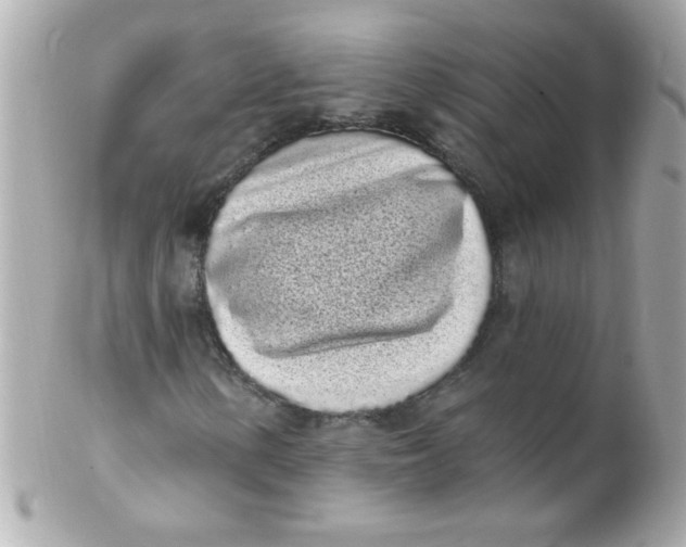 X0000102291154200808151946