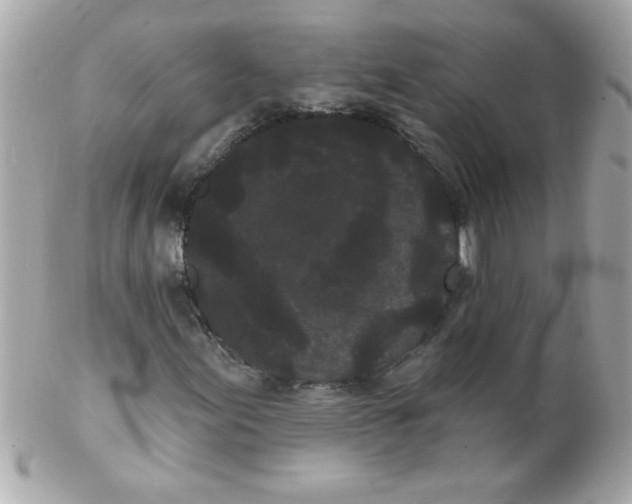 X0000102291155200808151946