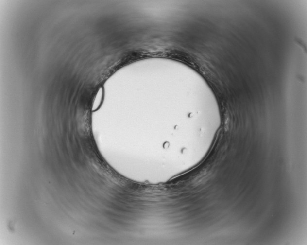 X0000102291156200808151946