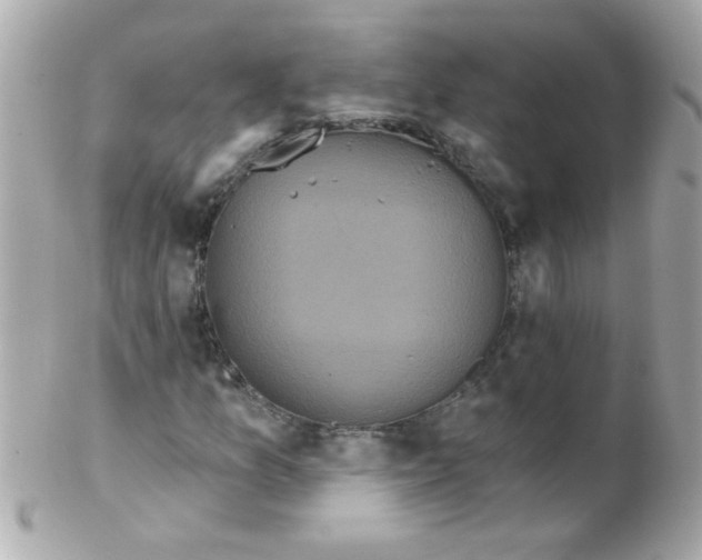 X0000102291157200808151946