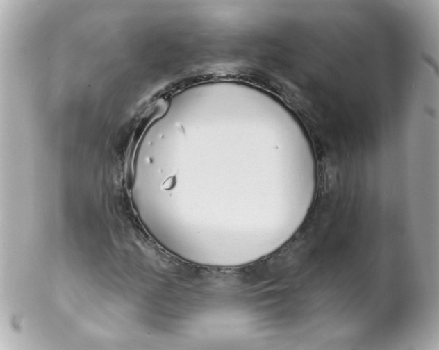 X0000102291158200808151946