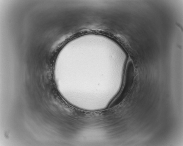 X0000102291159200808151946