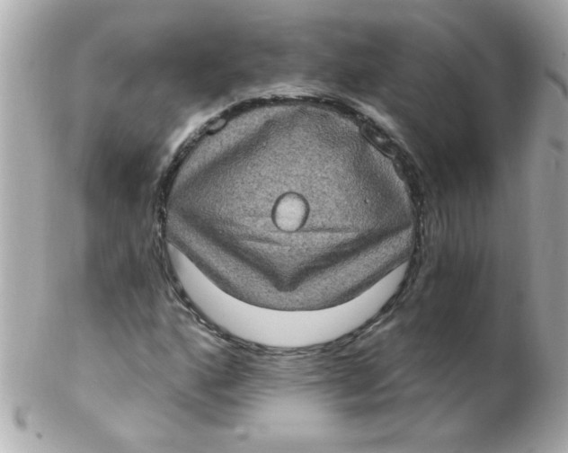 X0000102291160200808151946