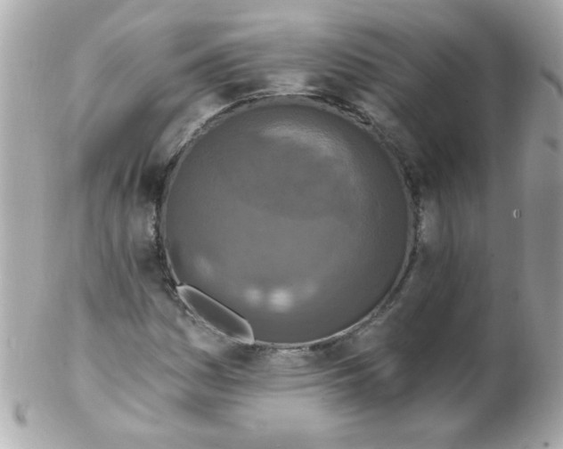 X0000102291161200808151946