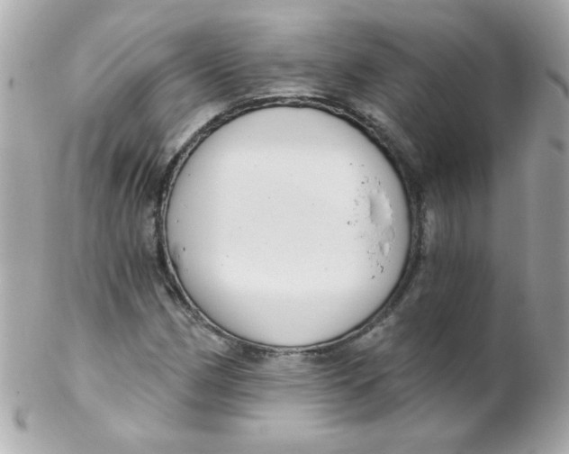 X0000102291162200808151946