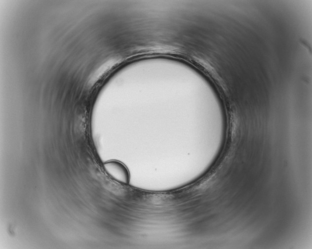 X0000102291163200808151946