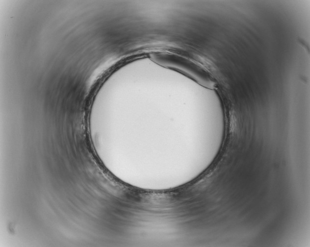 X0000102291164200808151946