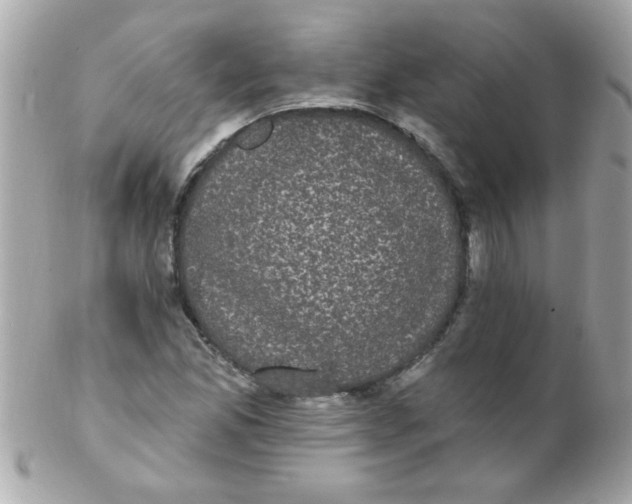 X0000102291165200808151946