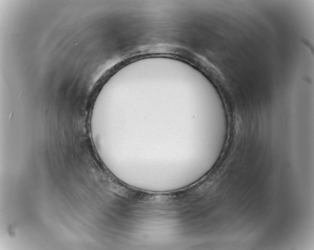 X0000102291166200808151946