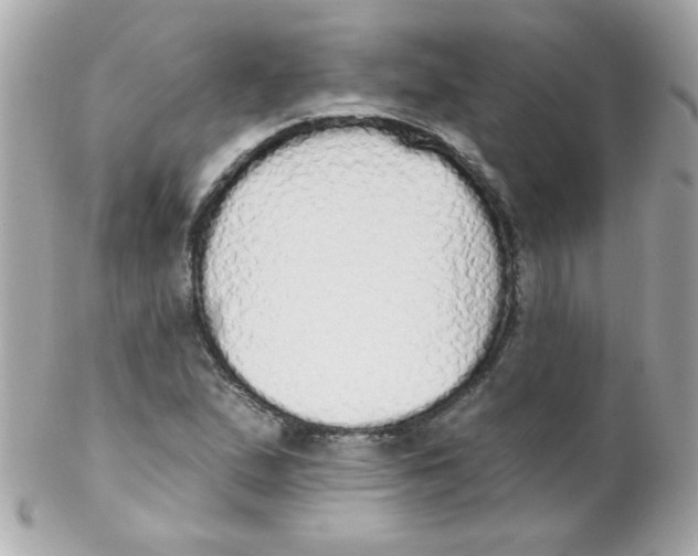 X0000102291167200808151946