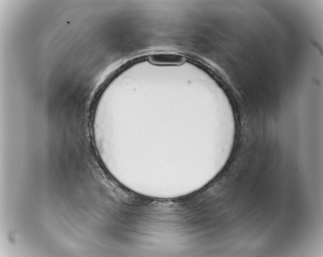 X0000102291168200808151945