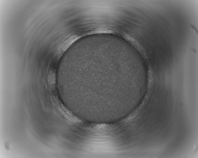 X0000102291169200808151945