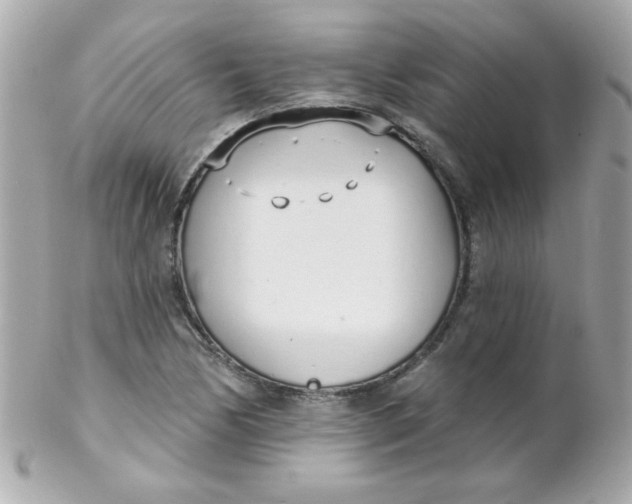 X0000102291170200808151945